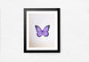 An Elegant Butterfly in Miniature Painting by Mohan Prajapati