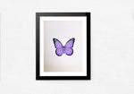 An Elegant Butterfly in Miniature Painting by Mohan Prajapati