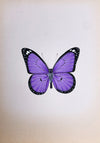 An Elegant Butterfly in Miniature Painting by Mohan Prajapati