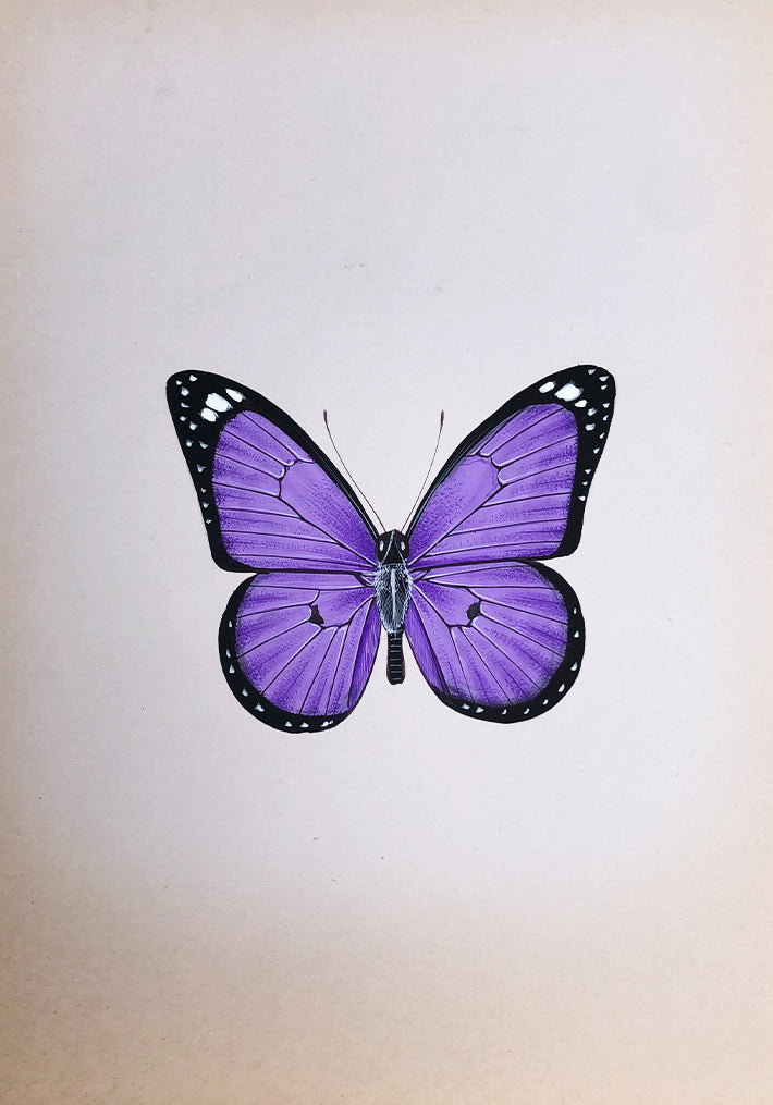An Elegant Butterfly in Miniature Painting by Mohan Prajapati Thumbnail