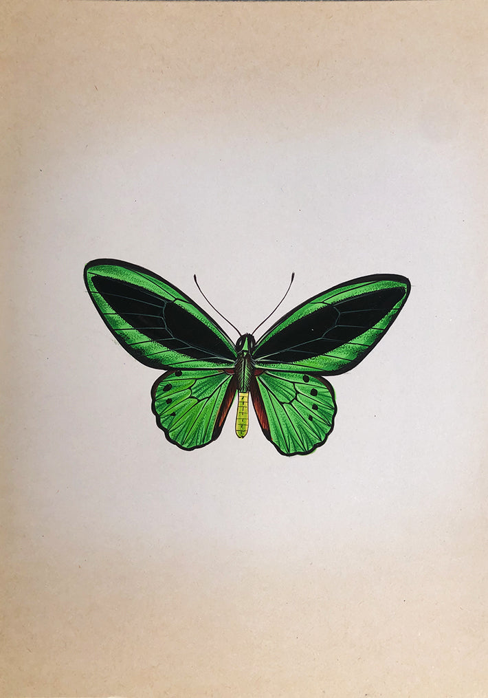 A Playful Butterfly in Miniature Painting by Mohan Prajapati