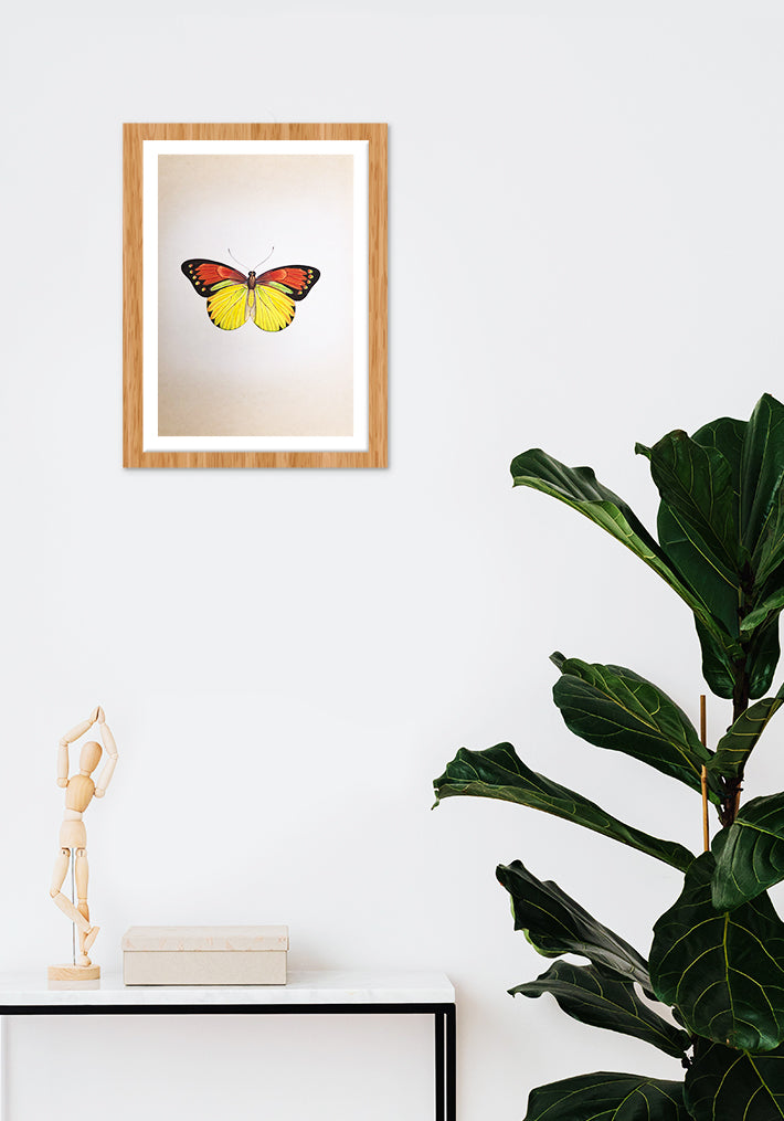 A Colorful Butterfly in Miniature Painting by Mohan Prajapati
