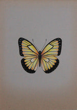 A Glowing Butterfly in Miniature Painting by Mohan Prajapati