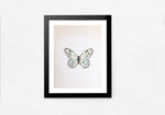 Butterfly in Monochrome Miniature Painting by Mohan Prajapati