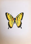 yellow and black butterfly Painting