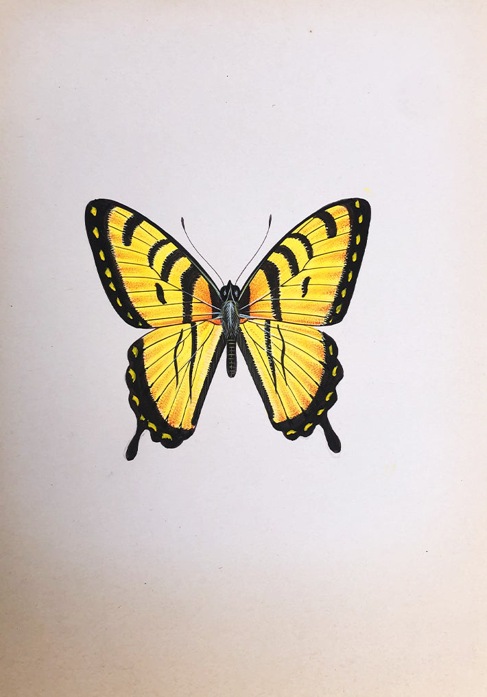 yellow and black butterfly Painting