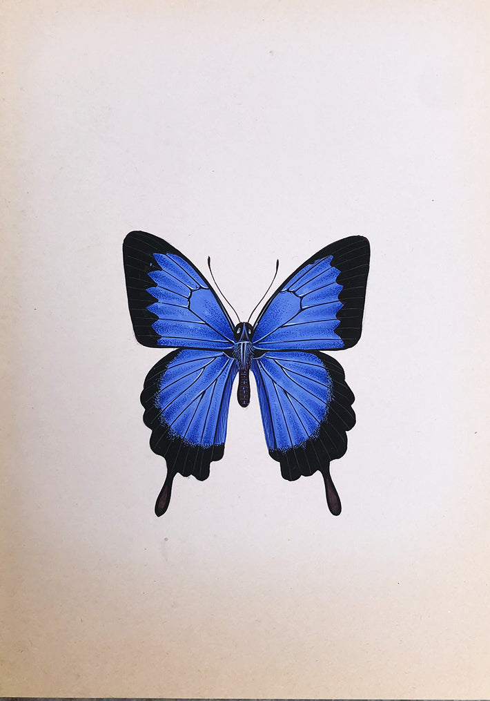 A Blue Butterfly in Miniature Painting by Mohan Prajapati