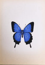 The Beautiful Butterflies in Miniature Painting by Mohan Prajapati