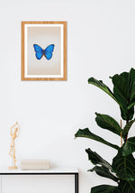 Purchase Handpainted Butterfly miniature style painting