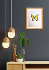 Buy yellow and black butterfly Miniature Painting