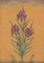 Indian Botanical Painting workshop