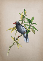 The Tweeting Bird in Miniature Painting by Mohan Prajapati