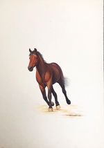 A Swift Horse in Miniature Painting by Mohan Prajapati