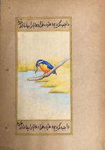 A Brilliant Kingfisher in Miniature Painting by Mohan Prajapati