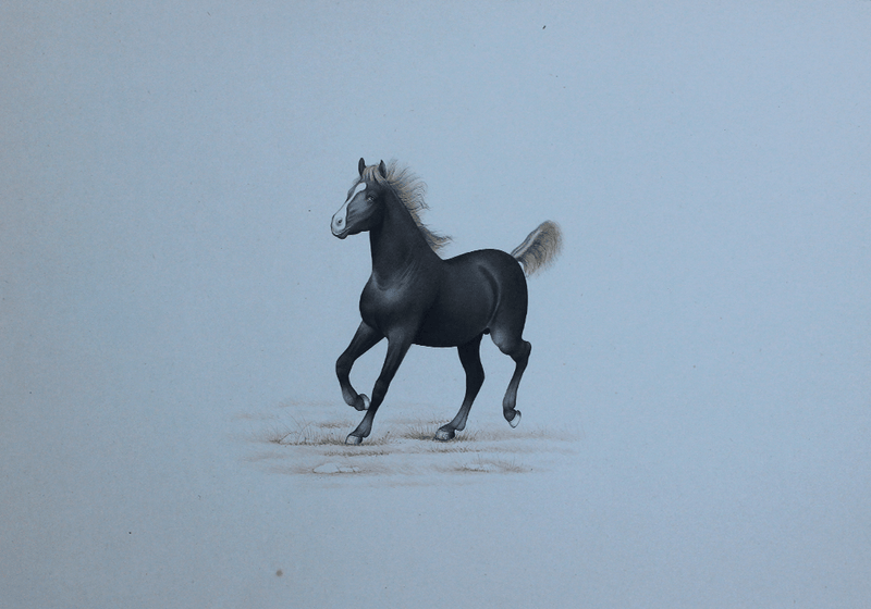 The Wild Horses in Miniature Painting by Mohan Prajapati