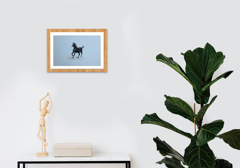 Buy Horse Miniature style Painting
