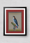 A Vibrant Falcon in Miniature Painting by Mohan Prajapati
