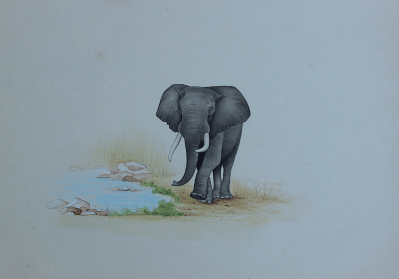 An Elephant in Wild Miniature Painting by Mohan Prajapati