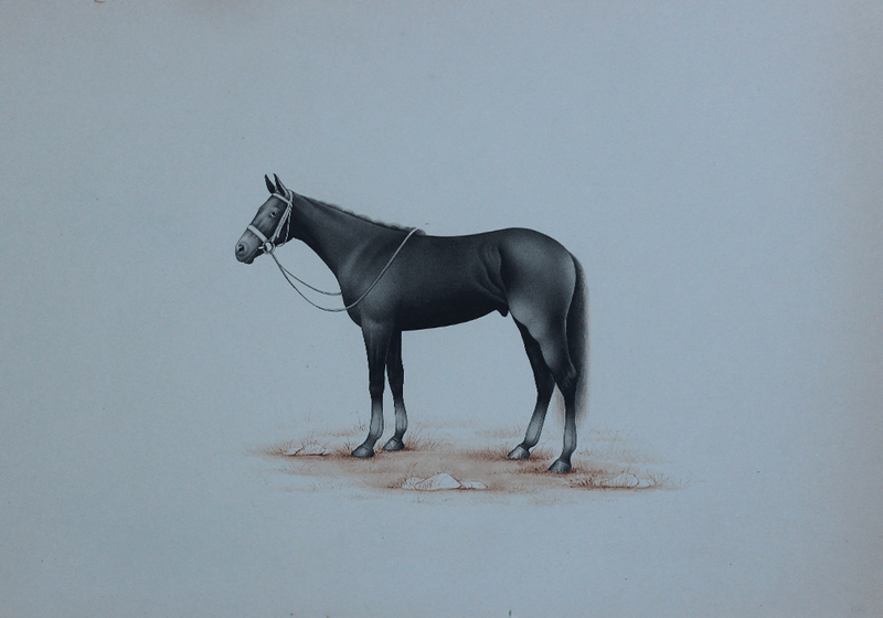 A Gentle Horse in Miniature Painting by Mohan Prajapati