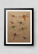 The Elusive Grasshoppers in Miniature Painting by Mohan Prajapati