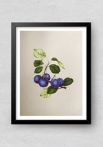 The Sweet Berries in Miniature Painting by Mohan Prajapati