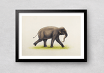 An Elephant at Move in Miniature Painting by Mohan Prajapati