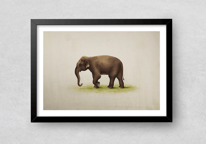An Elephant in Miniature Painting by Mohan Prajapati